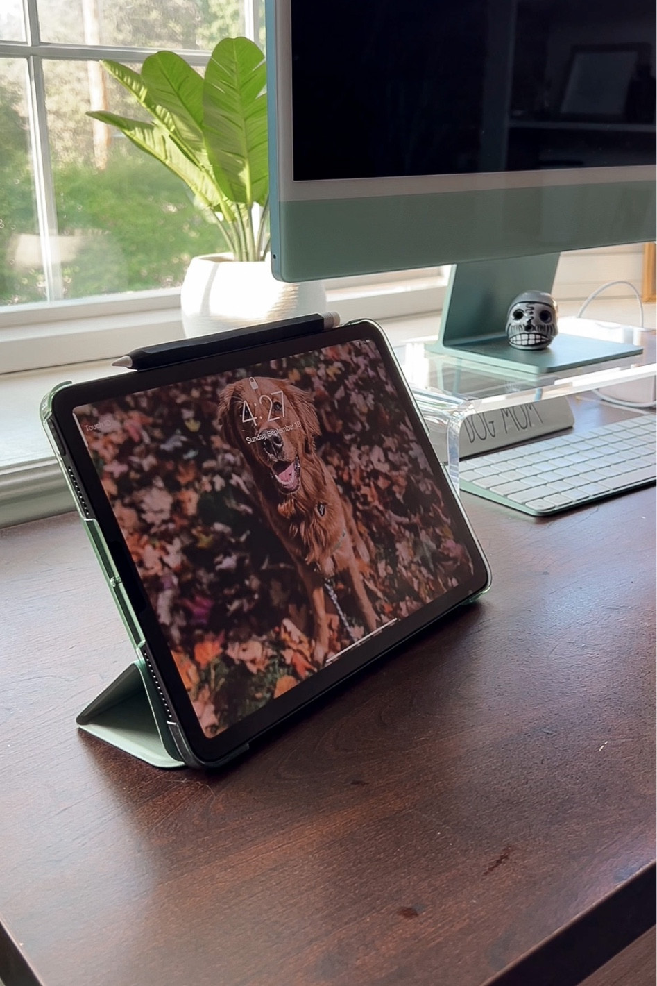 iPad accessories! 

Amazon finds | Amazon must haves | iPad Amazon accessories | tech 

#LTKhome #LTKunder50