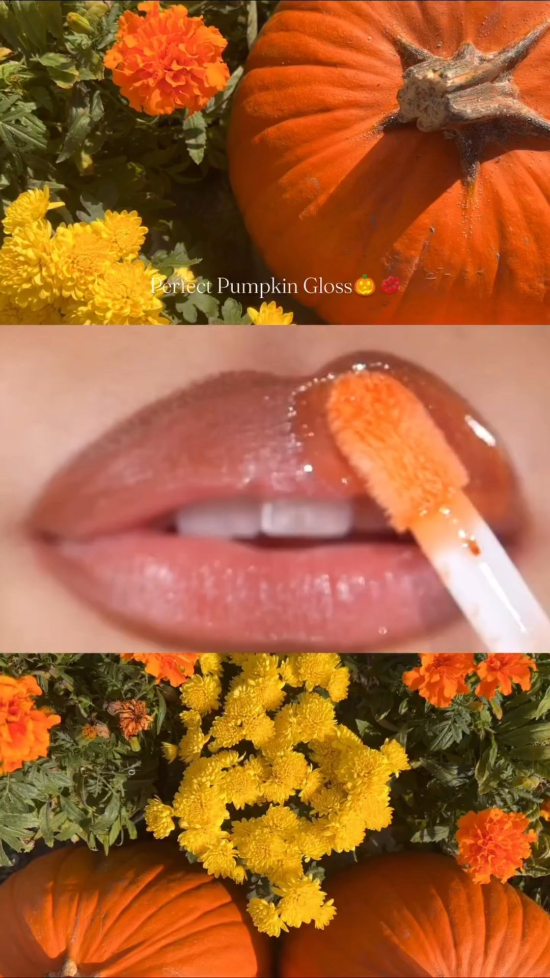 @dibsbeauty go to glossy balm in orange crush🎃🧡✨ #orangelipgloss #falllipgloss #sparklylipgloss #halloween #fallvibes