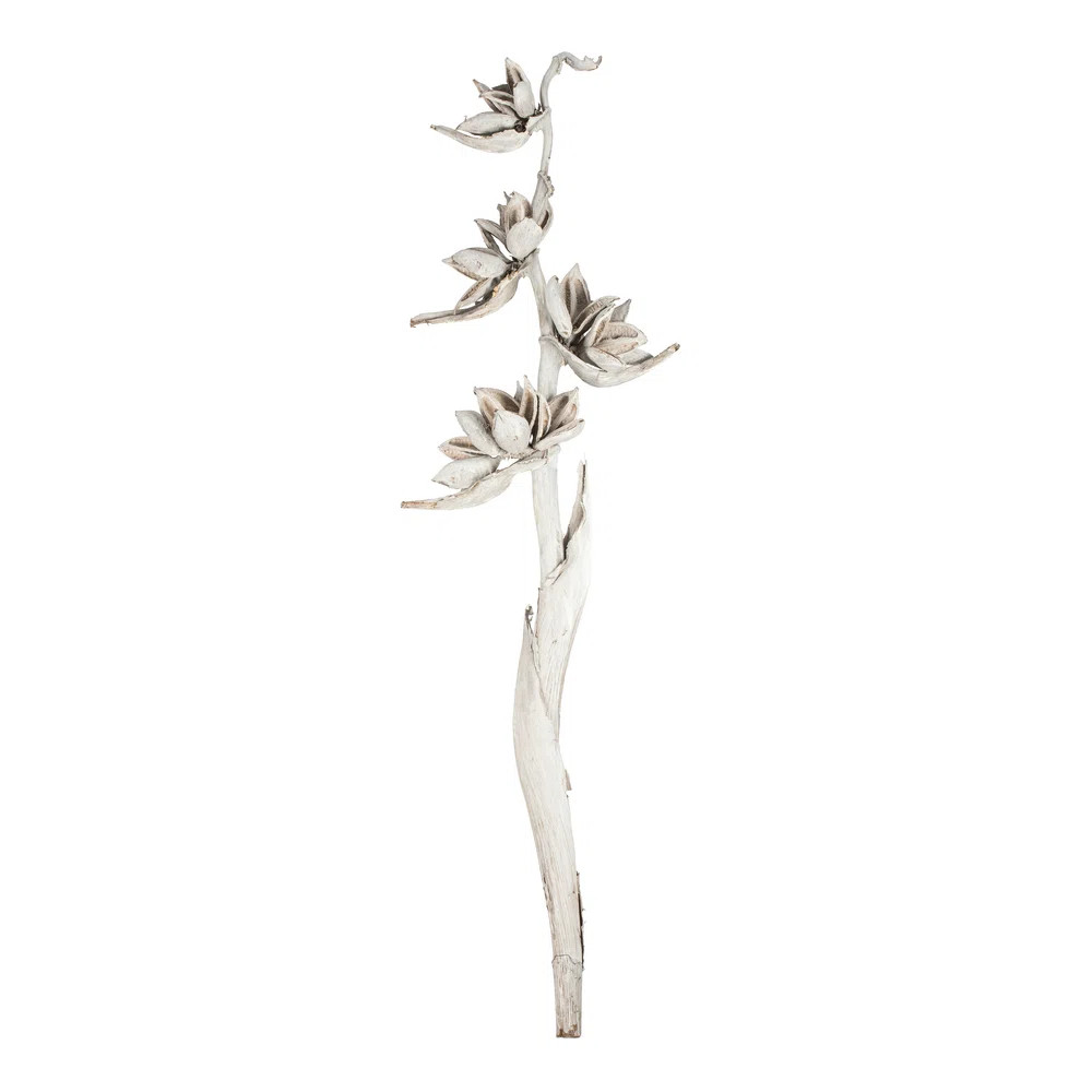 5-6' Star Pod Stalk, 1 stalk, Dried | Wayfair North America
