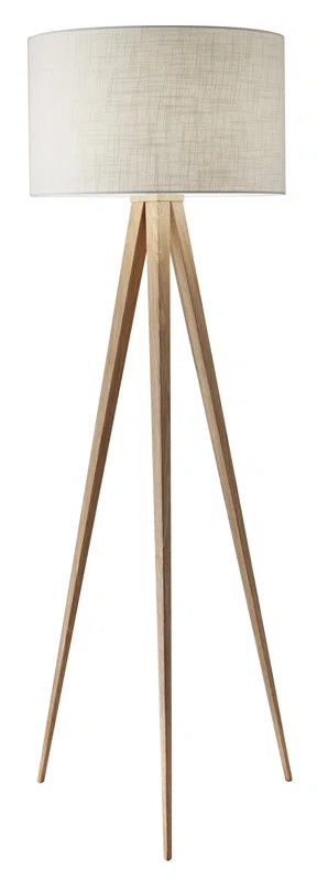 Teterboro Modern 60.25" Tripod Floor Lamp | Wayfair North America
