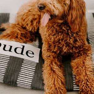 Dog Bed Cover - Arrow Dog Beds - Personalized Dog Bed - Custom Dog Bed - Pet Beds - Farmhouse Dog... | Etsy (US)