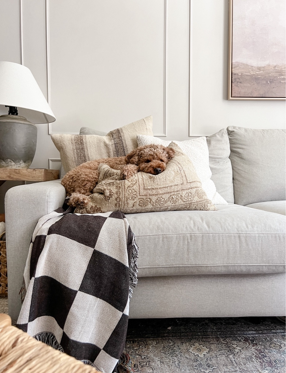 My favorite amazon home finds from June: this stunning checkered throw blanket 

#LTKhome #LTKFind #LTKunder50