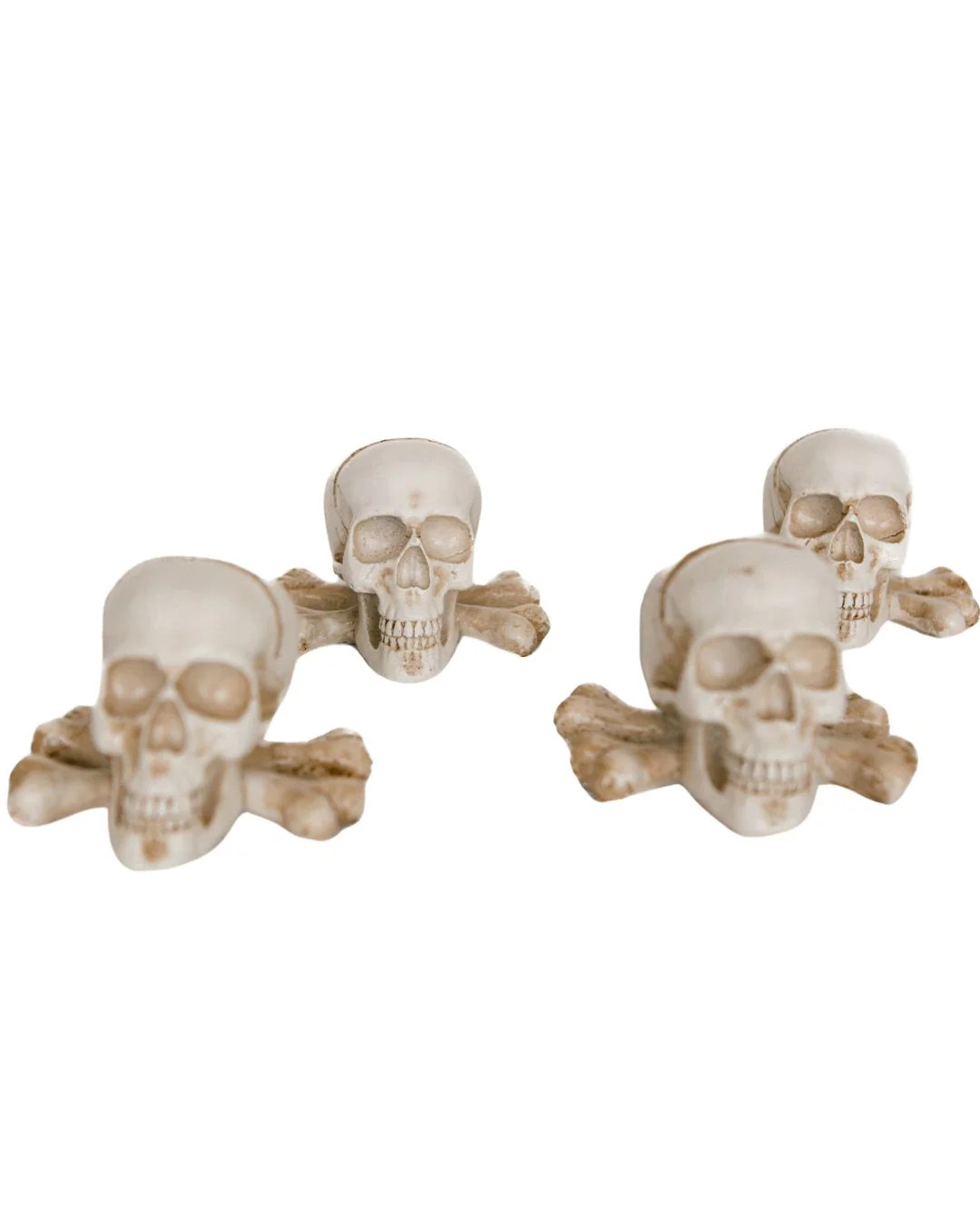 Skull Namecard Holder - Set of 4 | Elements by Remedy
