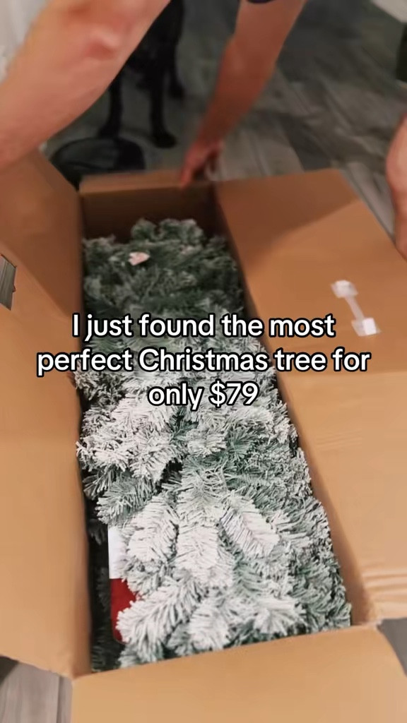 The perfect Christmas tree for only $79! 🙌 THE BEST PART…This tree is already pre-lit, flocked with the most realistic, powdered snow and is perfect for any corner in a bedroom or living room! 

#LTKHoliday #LTKGiftGuide #LTKCyberWeek