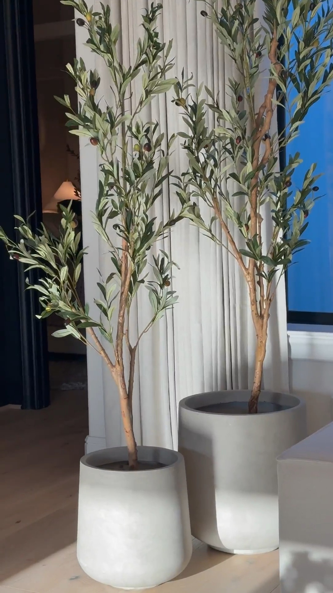 I love styling 5 foot tree next to 7 foot. I just love the scaling! 😍 … Used the large and medium size planters  for this look! 🤎

#LTKStyle #LTKHome #LTKSaleAlert