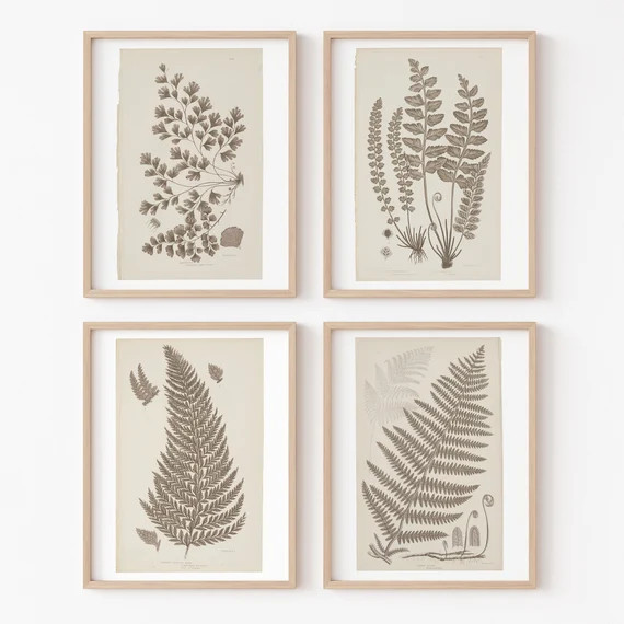 Set of 4 Botanical Fern Prints in Neutral Gray  Vintage - Etsy | Etsy (US)