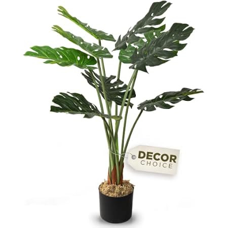 Foreverleaf.com | Amazon (US)