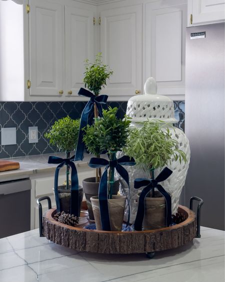 Mini topiary plants
Kitchen decor
Light switch 
Decorative lighting
Kitchen appliances
Amazon finds


#LTKhome #LTKHoliday