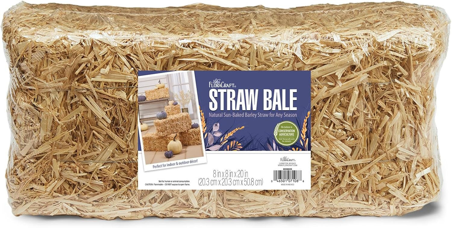 FloraCraft Decorative Straw Bale 8 Inch x 9 Inch x 20 Inch Natural | Amazon (US)