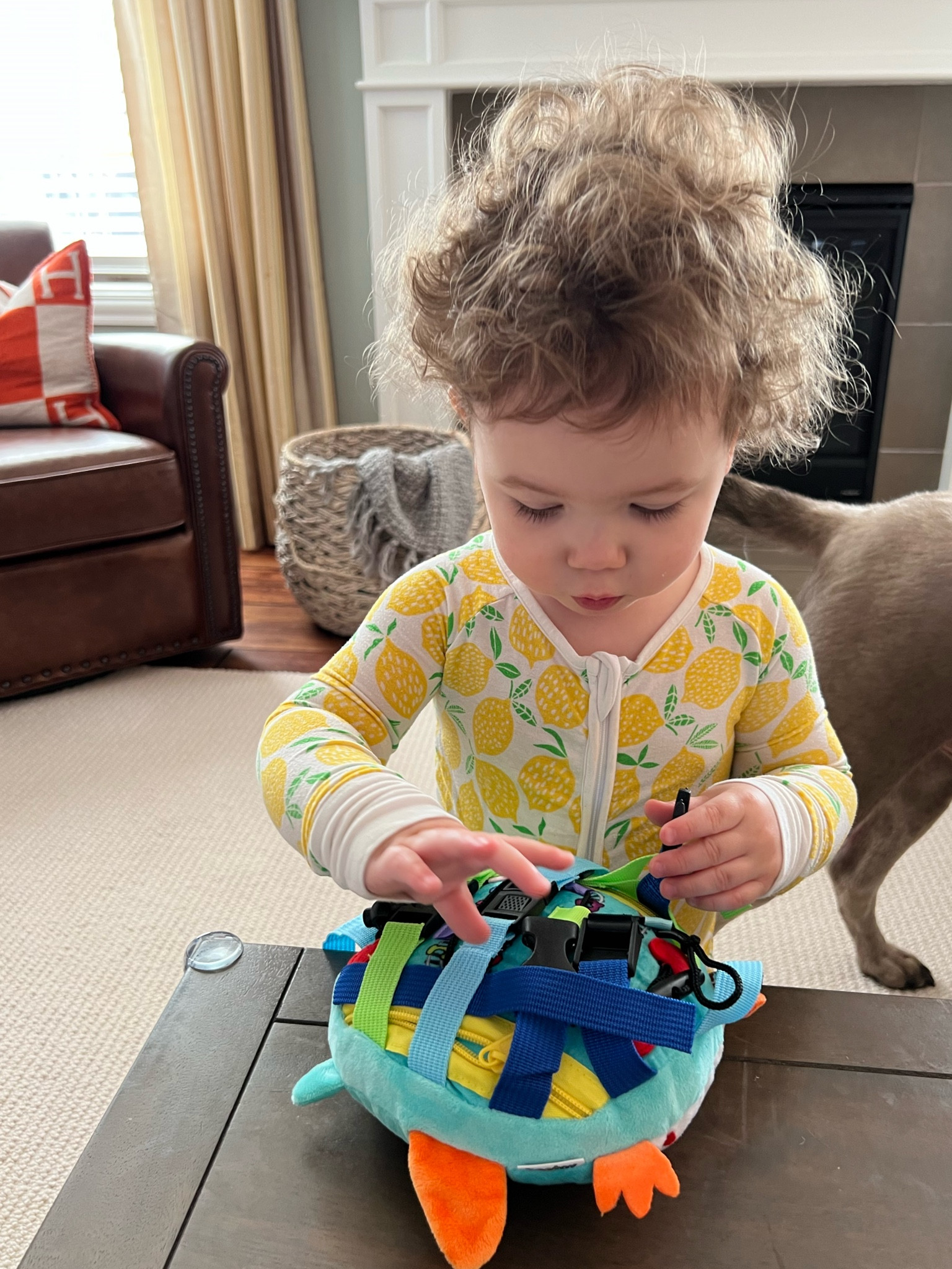 JTB has been loving all things buckles, buttons, zippers & clips - this amazon find has been great for him


Amazon, toddler toys, Easter basket idea, toddler, kids toys, amazon find, buckle toy, sensory toys

#LTKkids #LTKbaby #LTKsalealert