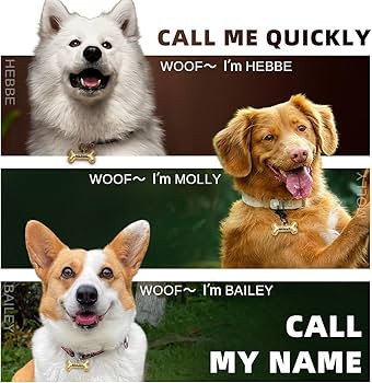 Dogs Tag Stylish Personalized Double Sided Deep Engraved Cat & Dog tags engraved for pets Bone Ba... | Amazon (US)