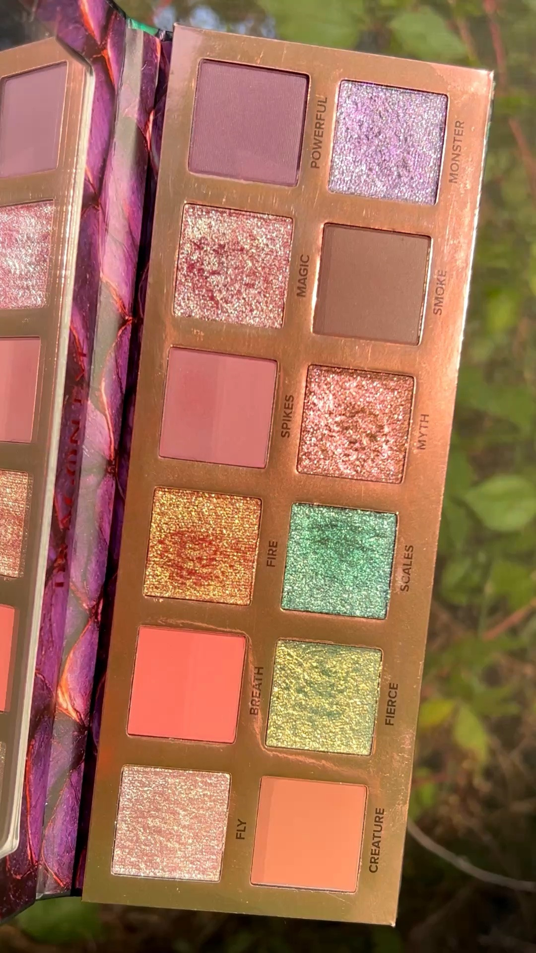 Swatching the What’s Up Beauty Dragon Eye Eyeshadow Palette

#LTKBeauty #LTKgrwm #LTKootd