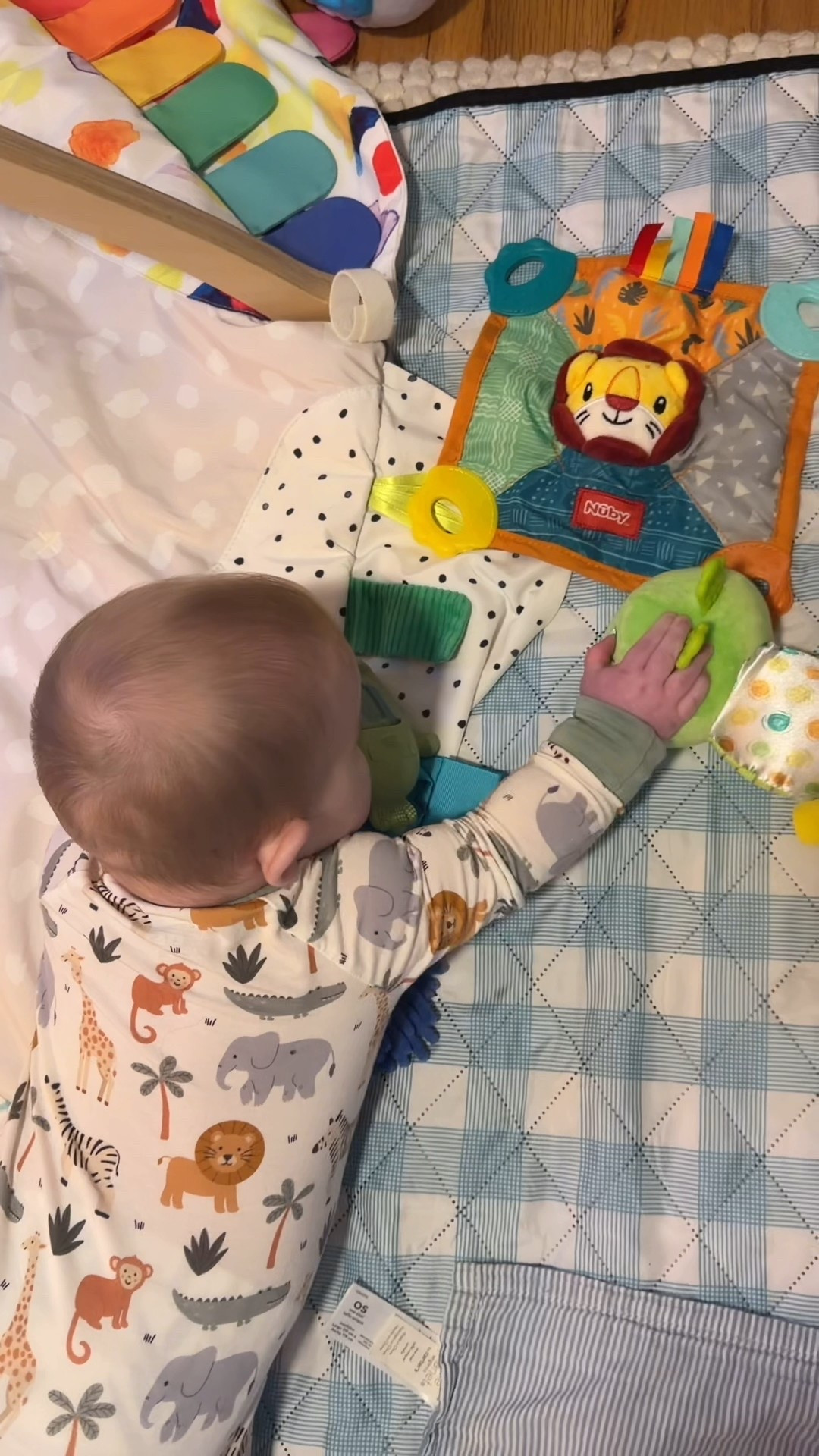 activities for my 7 month old 

#LTKmomlife #LTKBaby