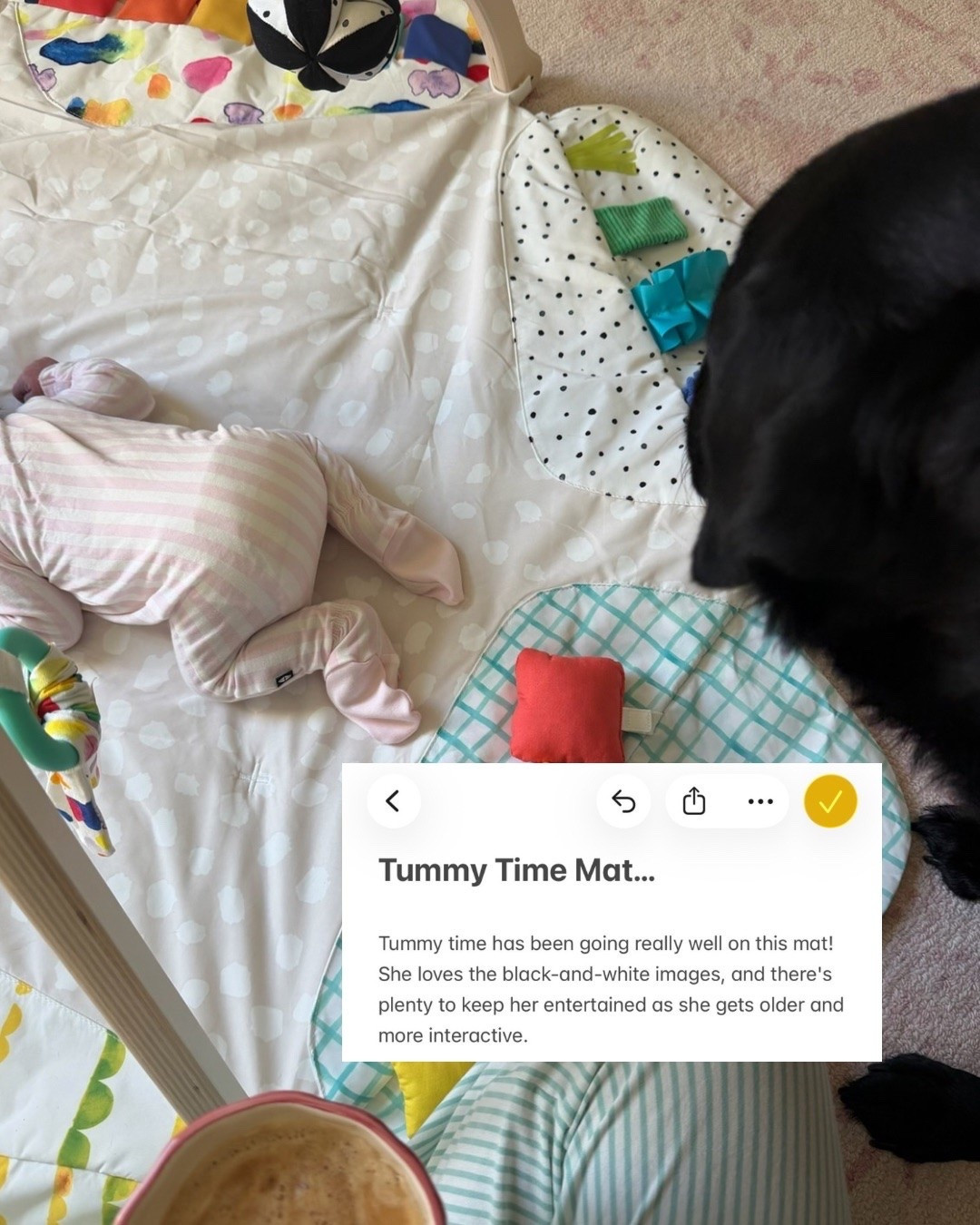Tummy Time Mat…

Tummy time has been going really well on this mat! She loves the black-and-white images, and there's plenty to keep her entertained as she gets older and more interactive.