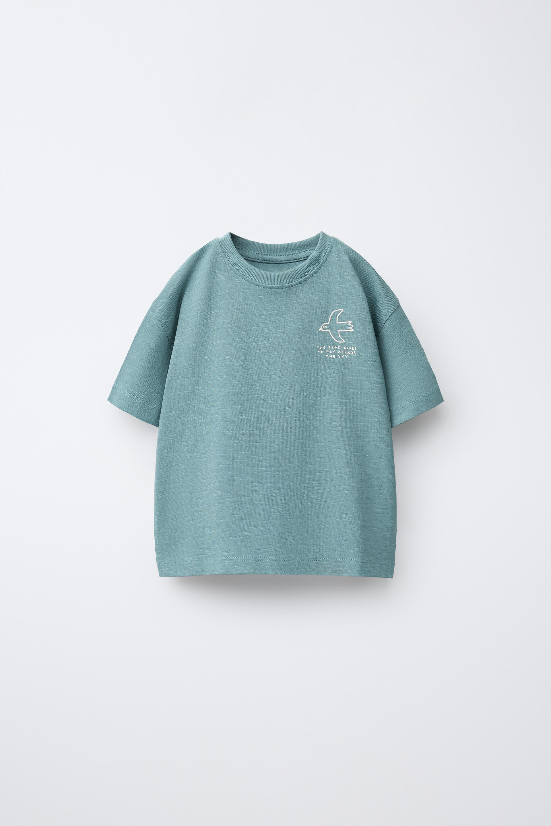 Zara - Turtle Embroidered T-Shirt - Light Petrol Blue - 5 Years (43,3 Inches) - Kids | Zara US