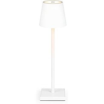 Minimalist Cordless Rechargeable Led Table Lamp, 4000mAh Battery, Metal Shell with Matte Coating Pro | Amazon (US)