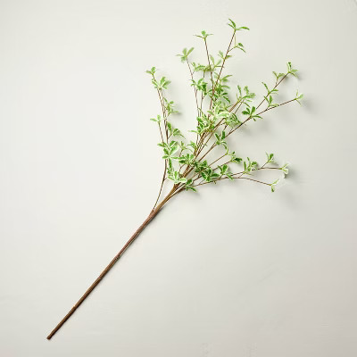 36" Faux Variegated Terminalia Leaf Branch - Hearth & Hand™ with Magnolia | Target