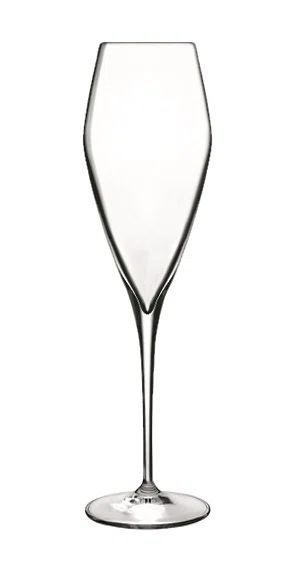 Atelier Champagne Glass | Wayfair North America