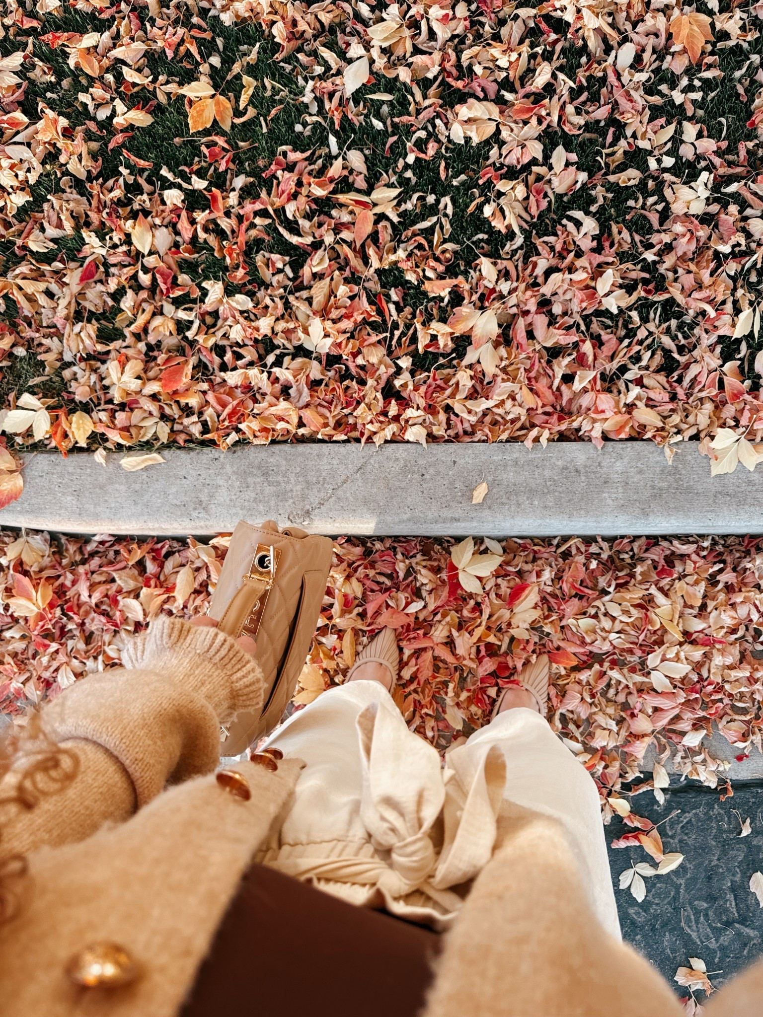 Falling for all the little details 🍂🤎 Khaki cardigan, gold buttons, and cozy layers 🥰 The perfect cozy chic fall combo. Everything linked for your autumn inspo ✨ office outfit | office style | office look | amazon office outfit | amazon office style | amazon office must haves | work wear | amazon work wear | work wear style | amazon work wear style | cardigan | amazon khaki cardigan | amazon tank top | amazon brown bodysuit | dress pants | work pants | cream pants | cream dress pants | Amazon dress pants | Amazon work pants | mules | amazon mules | sling back mules | neutral sling back mules | amazon finds | amazon fashion | amazon outfit | amazon look | fall office look | fall work wear look | fall 2025

#LTKStyleTip #LTKMidsize #LTKSaleAlert