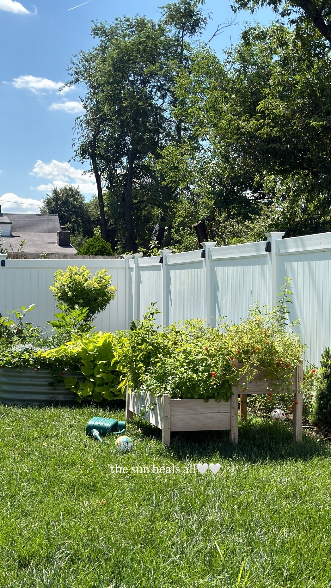 linking our planters🌞 the sun heals all🤍🤍

#LTKSeasonal #LTKdayinmylife #LTKHome