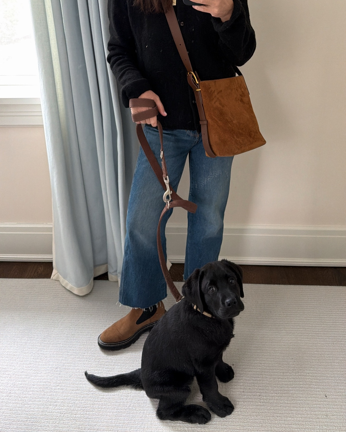 Off to a meeting with Toby in tow

#LTKdayinmylife #LTKgrwm #LTKootd