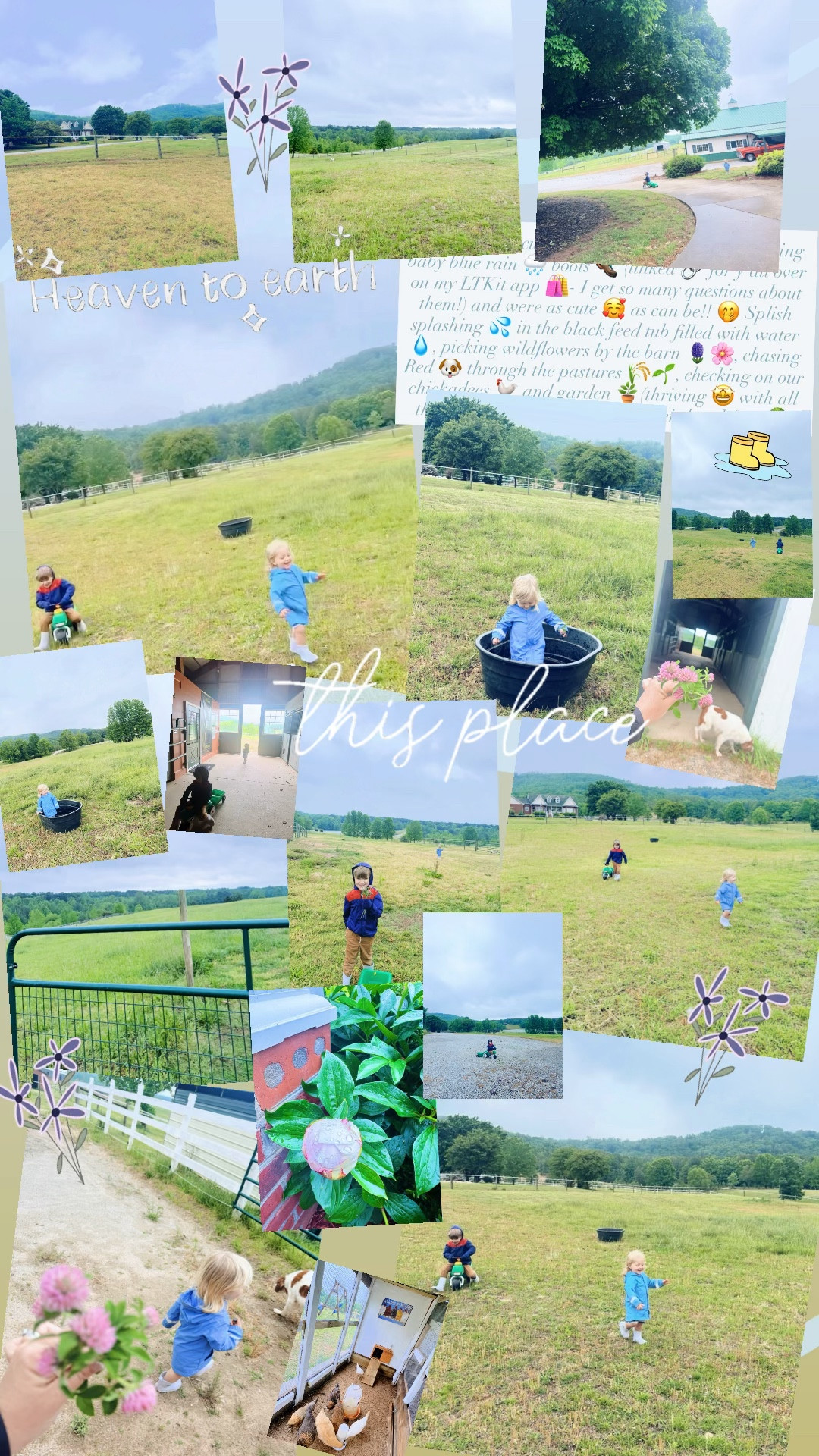 These country cuties got to wear their new matching baby blue rain 🌧️ boots 🥾 (linked 🔗 for y’all over on my LTKit app 🛍️- I get so many questions about them!) and were as cute 🥰 as can be!! 🤭 Splish splashing 💦 in the black feed tub filled with water 💧, picking wildflowers by the barn 🪻🌸, chasing Red 🐶 through the pastures 🌾🌱, checking on our chickadees 🐓 and garden 🪴(thriving 🤩 with all this rain ☔️!!), and just living their best life!!! 🌳 
