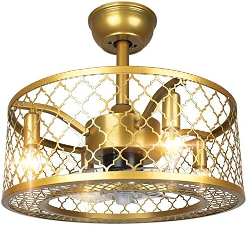 Minney Caged Ceiling Fan with Light, 3 Speeds Adjustable Downrod Mount 18 inches Remote Control Ceil | Amazon (US)