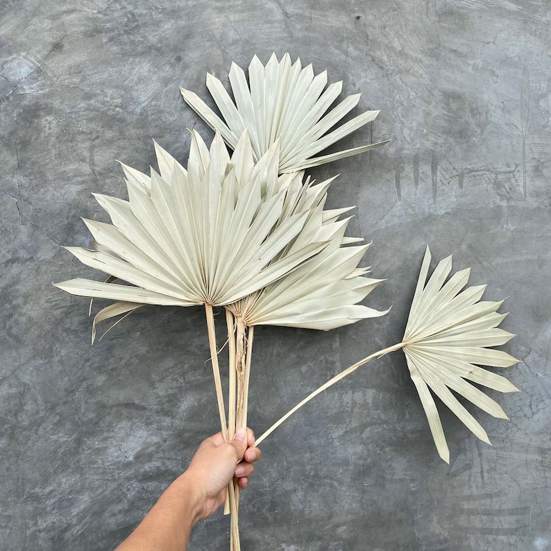 Dried Sun Palm Leaf Fans, Dried Flowers, sun palm leaves, wedding flowers, home decor. 14” Tall... | Etsy (US)