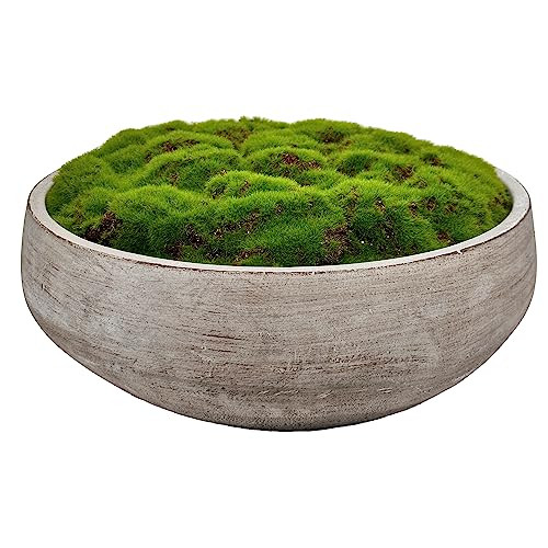 Moss Bowl |12" Diameter | Artificial | Hand-Painted Cement Bowl | Home Décor | Amazon (US)
