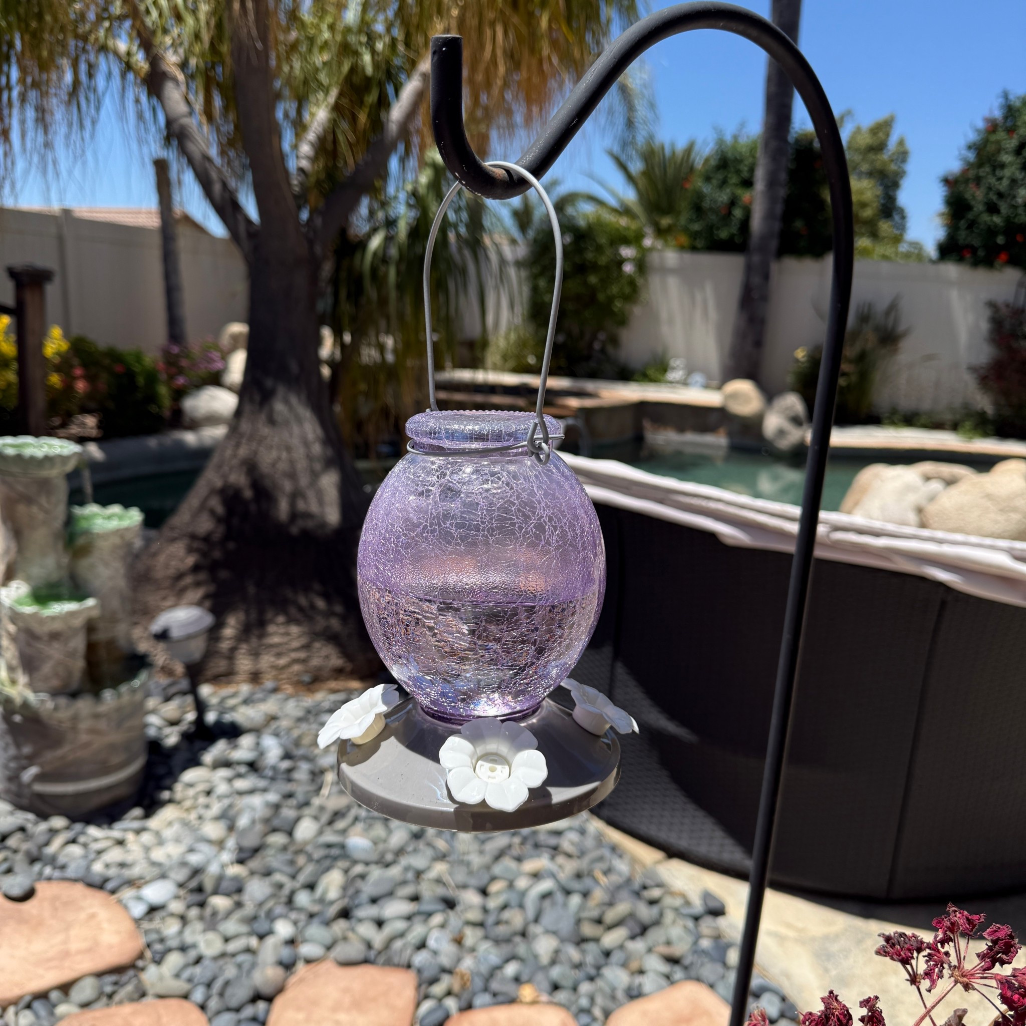 Replaced my old hummingbird feeders with this gorgeous crackled glass one 

#LTKSeasonal #LTKHome