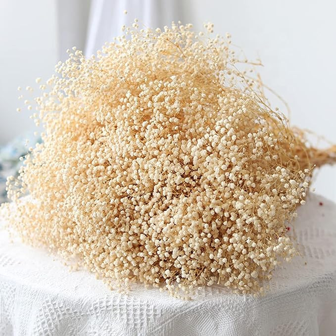 6000+ Dried-Babys-Breath-Flowers-Bouquet, Double Quantityed Ivory White Flowers, Natural Gypsophi... | Amazon (US)