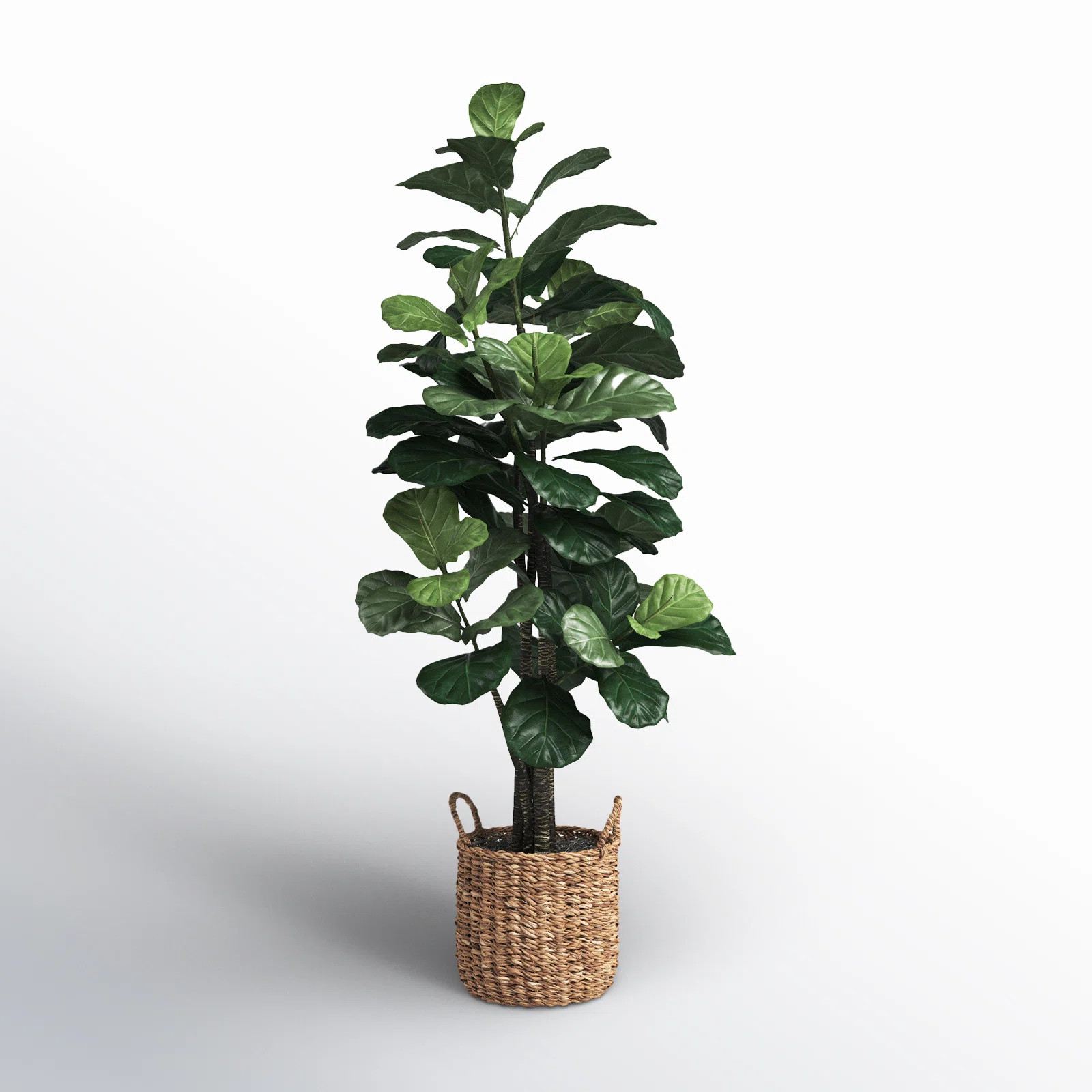 66'' Faux Fiddle Leaf Fig Tree in Wicker/Rattan Basket | Birch Lane