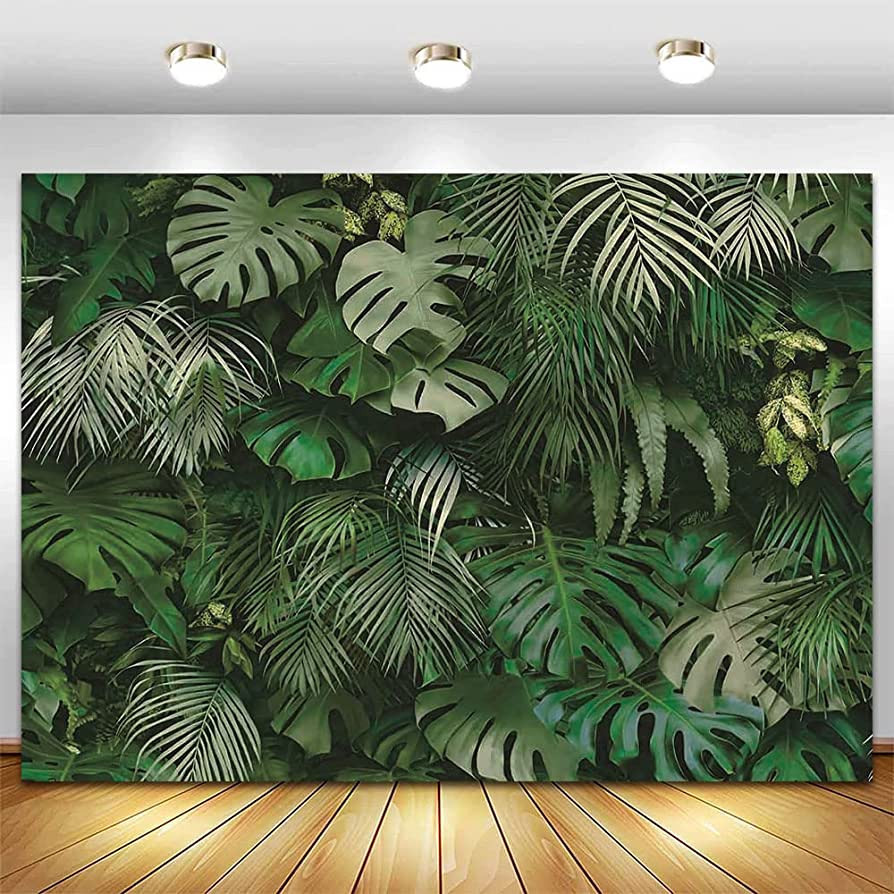 10x8ft Green Tropical Palm Leaves Picture Photography Backdrop Jungle Safari Plants Photo Backgro... | Amazon (US)