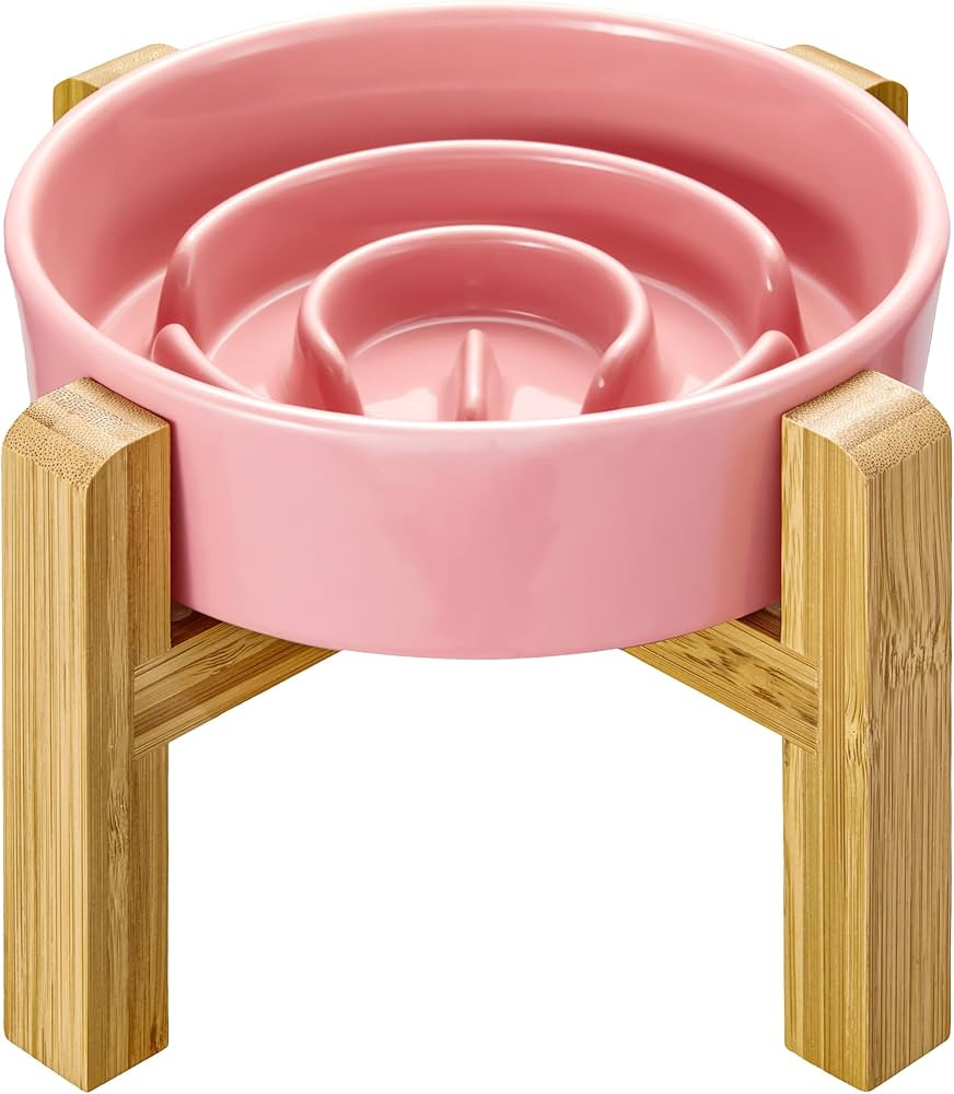 Ceramic Slow Feeder Dog Bowls Elevated for Small Breed, Slow Feeder Cat Bowl, 0.6 Cup Dog Slow Fe... | Amazon (US)