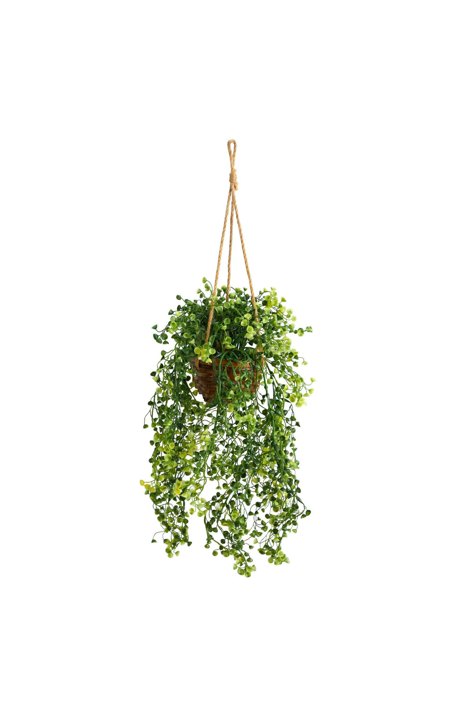 NEARLY NATURAL 20-in Baby Tear Artificial Plant in Hanging Basket | Nordstrom | Nordstrom