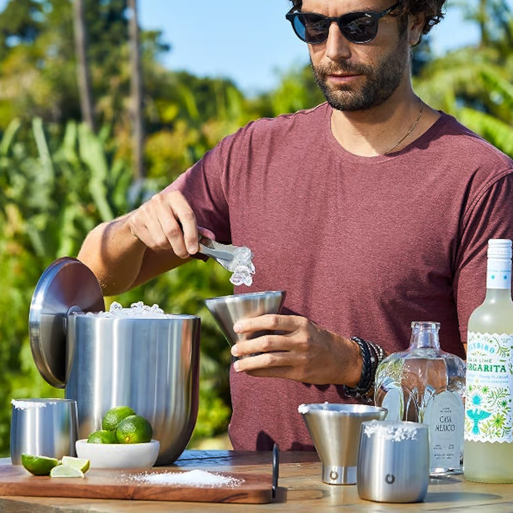 SNOWFOX Premium Vacuum Insulated Stainless Steel Martini Glass, Set of 2, Martinis Stay Icy Cold,... | Amazon (US)