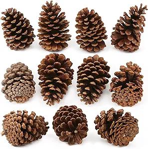 Yexpress 12 Pack Large Natural Pinecones, 3.5" to 4.7" Christmas Rustic Natural Pine Cones Fall O... | Amazon (US)
