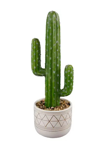White/Gold Faux Cactus Garden | Nordstrom Rack