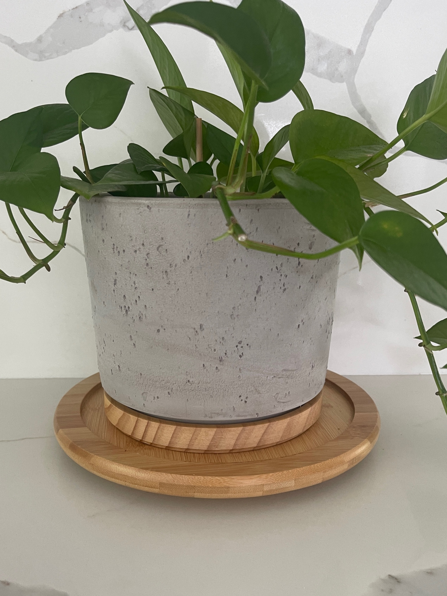 Plants, plants, plants!! I’m still obsessed with the research NASA has done about the top plants that our purify our air from radiation and toxins🤗 so I’m putting them everywhere in my home! What an incredible way to refresh and re-design for Easter and spring! Ditch those faux plants and get natural🪴🙌🏼

#LTKsalealert #LTKhome #LTKSeasonal