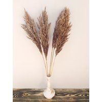 Grass Decor, Vase Filling, Pampas Grass, Dry Flowers Bouquet, Grey Decor | Etsy (US)