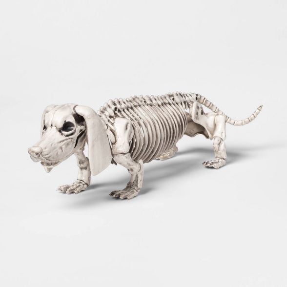 Dachshund Skeleton Decorative Halloween Prop - Hyde & EEK! Boutique™ | Target