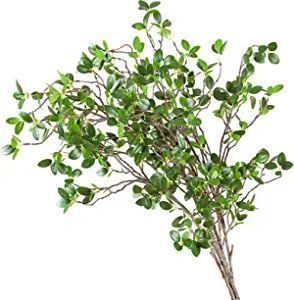 Ollain 43" Artificial Greenery Stems Plants Faux Leaf Green Eucalytus Branches Ficus Twig Fern Fa... | Amazon (US)