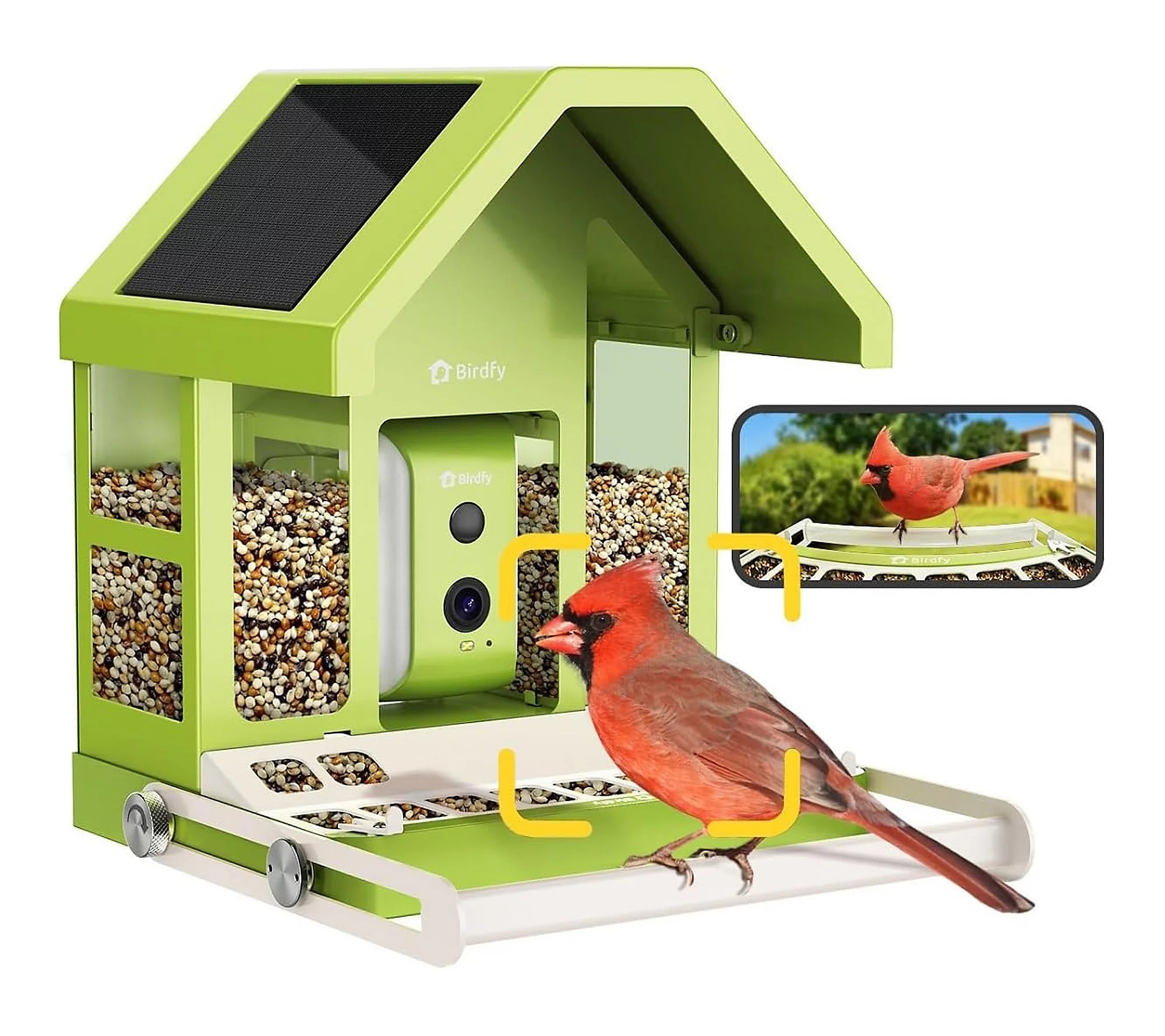 Birdfy Smart Bird Feeder with Camera | QVC