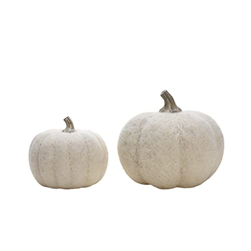 Elanze Designs Classic White 6 inch Resin Harvest Decorative Pumpkin | Amazon (US)