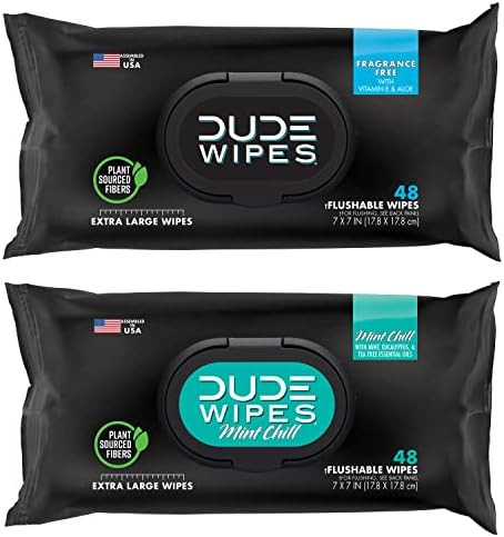 DUDE Wipes Flushable Wipes - 1 Pack, 48 Wipes - Unscented with Vitamin-E + Aloe & DUDE Wipes Flus... | Amazon (US)