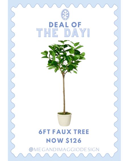 This faux fiddle is now 30% OFF 🤯🙌🏻😍 making it just $126 for this 6ft potted tree!! 🌳 it’s highly rated and now an incredible price for this size and style!! 

#LTKsalealert #LTKxTarget #LTKhome