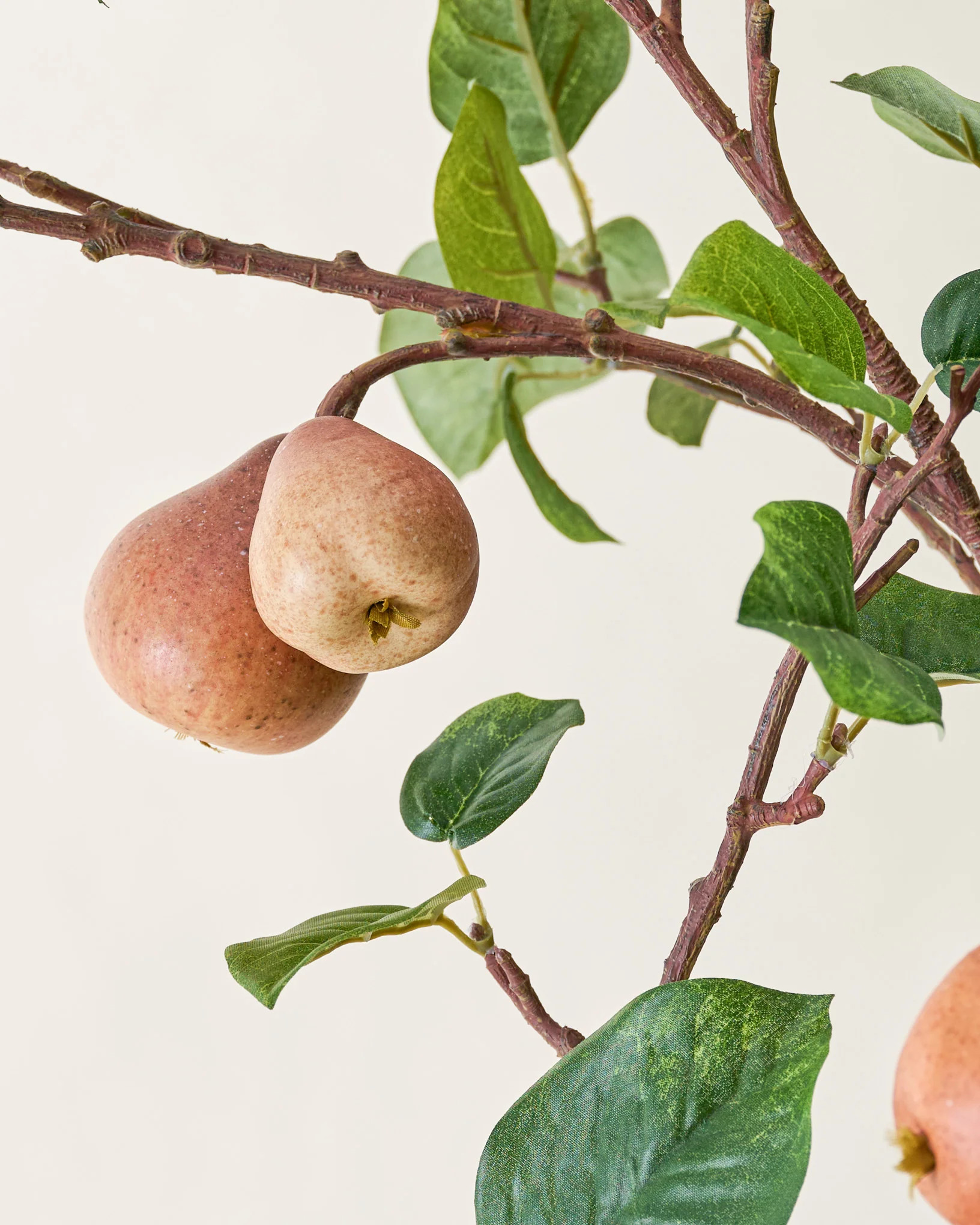 Oversized Pear Stem | Magnolia