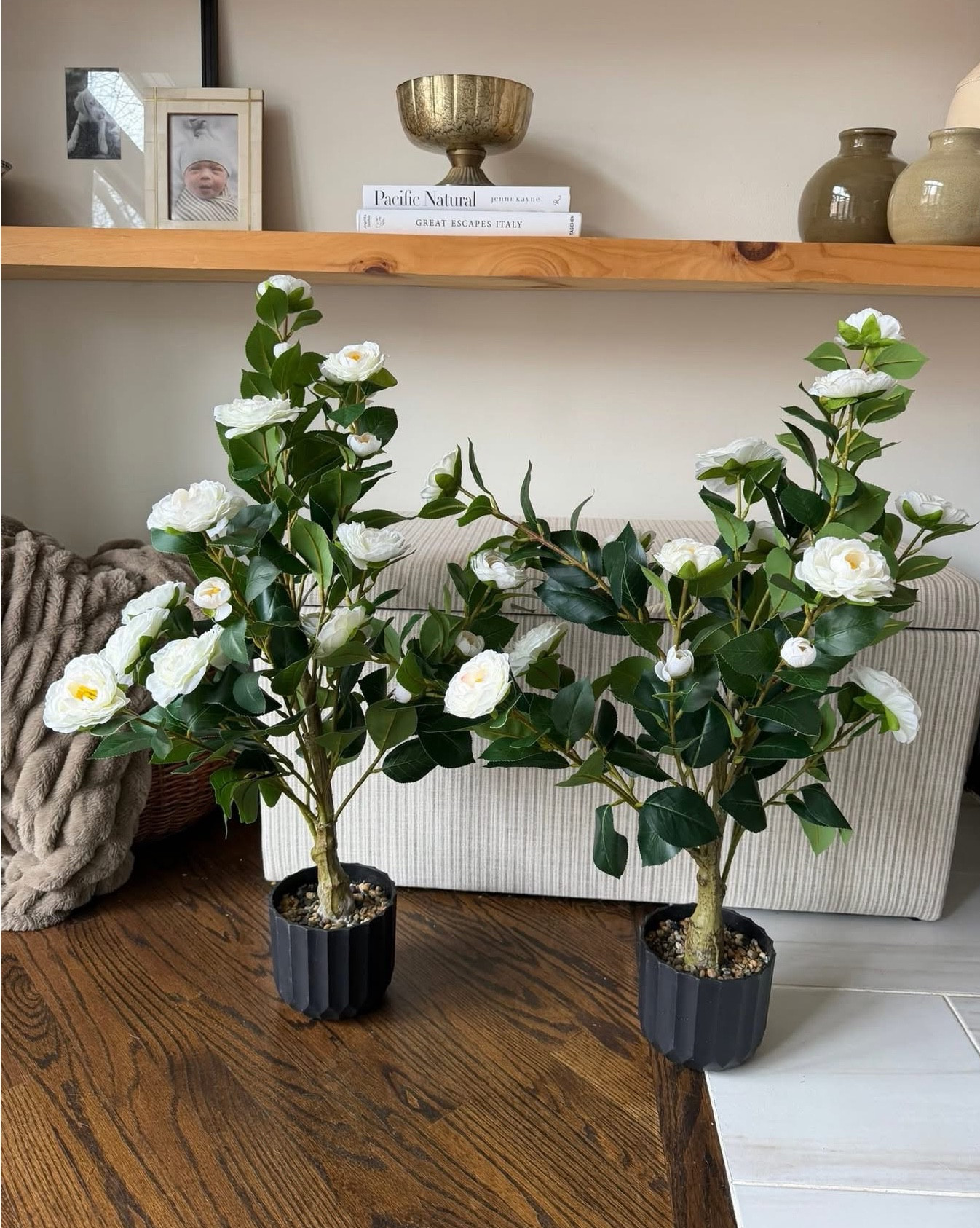 #AD I’m so impressed with these outdoor florals I just got from @Wayfair for my spring front porch refresh! We literally just had a snowstorm, but I’m more than ready for spring. These are going to completely transform our porch and make such a beautiful statement for the season.

#wishyouwerehere #outdoor #wayfair #wayfairpartner 

#LTKSaleAlert #LTKHome #LTKSeasonal