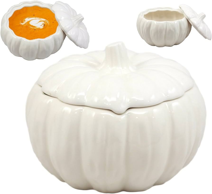 Ebros Gift Ceramic Stoneware White Harvest Pumpkin Bowl With Lid 6" Diameter (1) | Amazon (US)