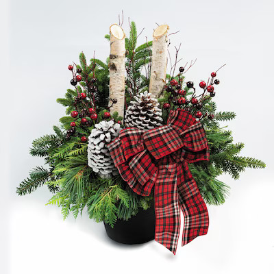 Brookdale Treeland Nurseries 30-in Fresh Christmas Potted Greenery | Lowe's